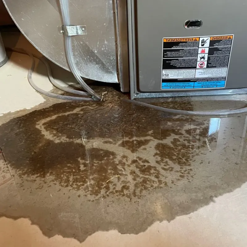 Pipe Burst and Leak Restoration in Boonville, IN
