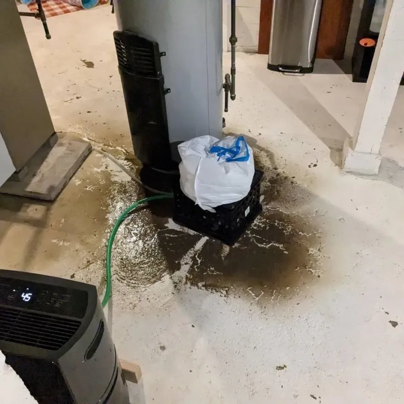 Sewage Backup Cleanup Service in Boonville, IN